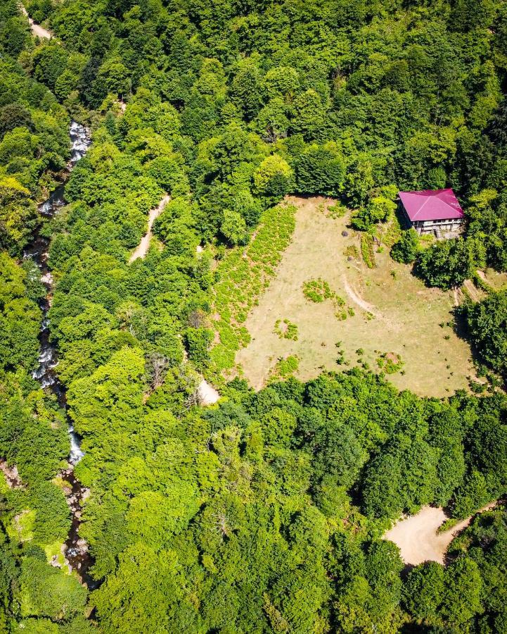 Mtirala National Park Hotel Orbeza Kobuleti Exterior photo